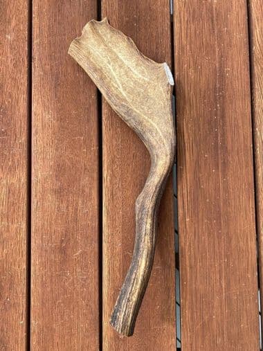 Extra Large Antler (250g+) thumbnail - Extra large antler chew product image