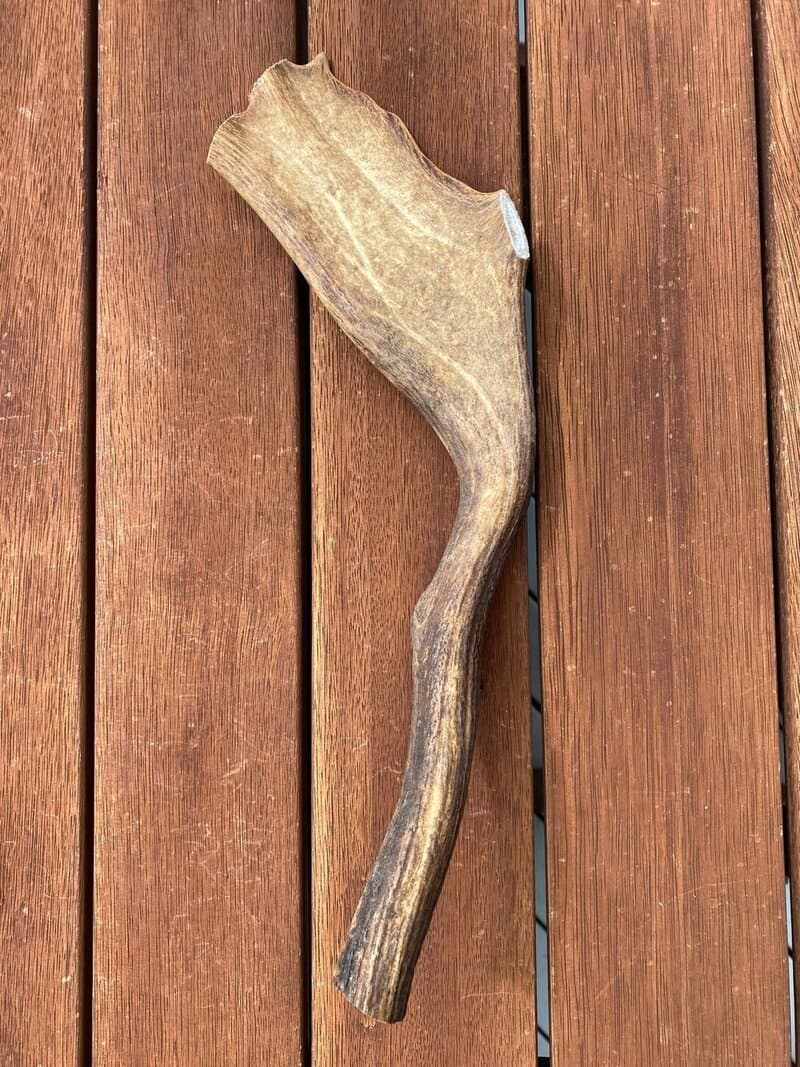 Extra Large Antler (250g+) - Extra large antler chew product image
