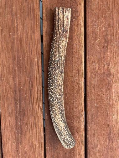 Extra Large Antler (250g+) thumbnail - Extra large antler chew product image