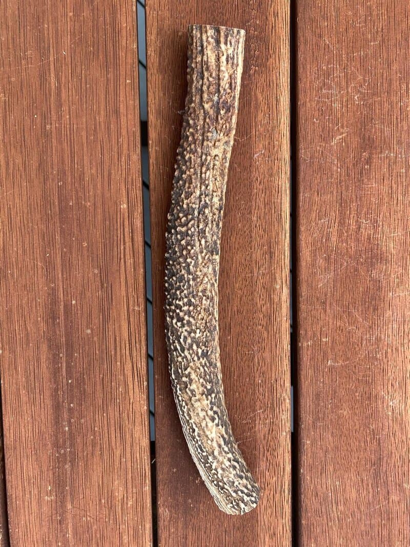 Extra Large Antler (250g+) - Extra large antler chew product image