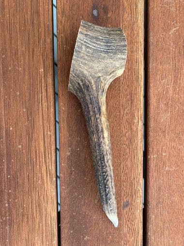 Large Antler (150g - 250g) thumbnail - Product image of large antler