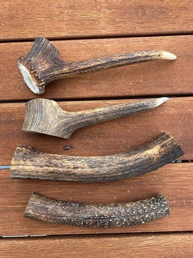 Large Antler (150g - 250g) thumbnail - Product image of large antler