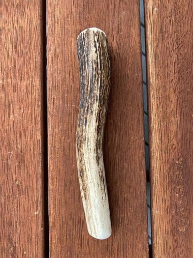 Product image of medium antler