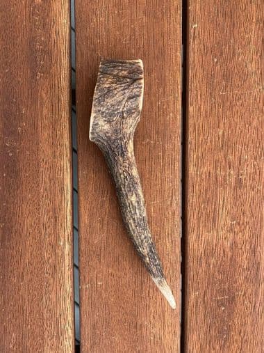 Medium Antler (90g - 150g) thumbnail - Product image of medium antler