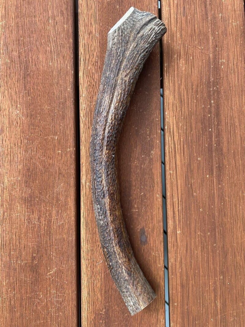 Extra Large Antler (250g+) - Extra large antler chew product image