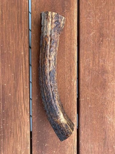 Large Antler (150g - 250g) thumbnail - Product image of large antler