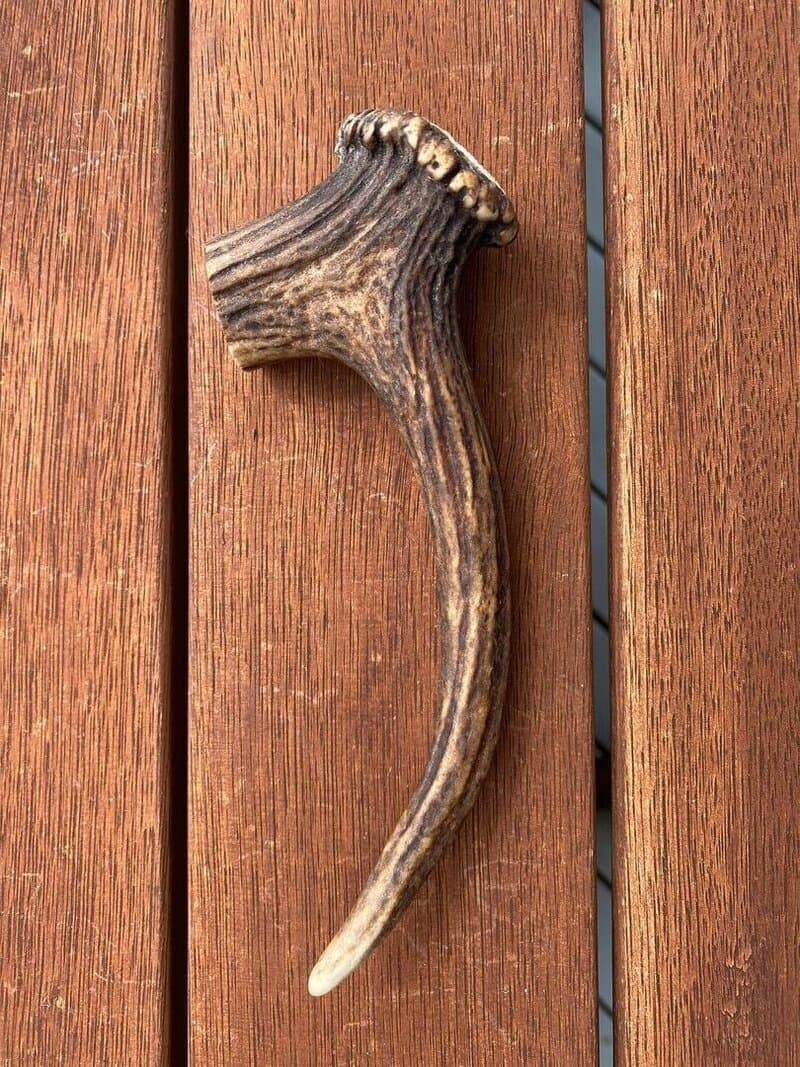 Small Antler (up to 90g) - Product image of small antler